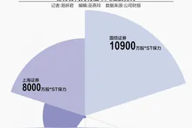 现身退市风险股前十大股东 国信、上海证券等多家券商“踩雷”图片