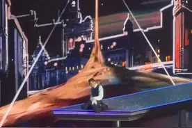 刘德华就演唱会惊险动作致歉图片