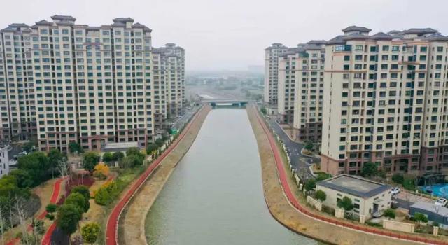 2025年金山十大新闻你来定!