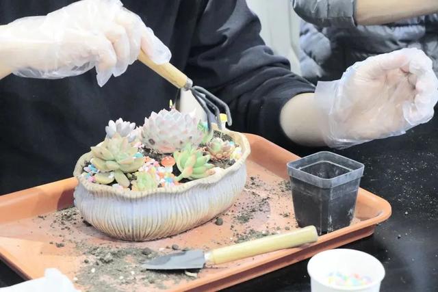 别EMO啦！治愈夏天的良药在这里→