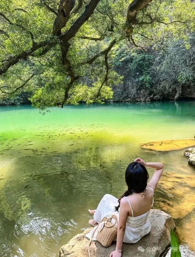 初冬的风里竟有了粉色的“味道”！就在龙潭公园里~