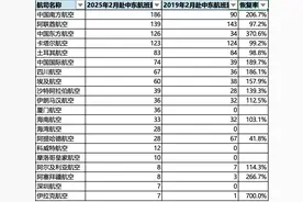 国内航司密集飞中东，国际航线格局大变图片