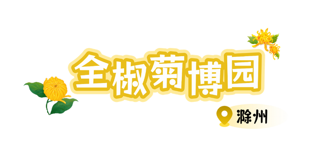 别只惦记红叶了！安徽的秋天，是五彩斑斓的！
