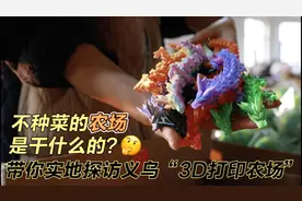 潮声视频丨义乌又出爆款！在“3D打印农场”里造玩具，订单排到了明年视频封面
