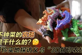 潮声视频丨义乌又出爆款！在“3D打印农场”里造玩具，订单排到了明年视频封面