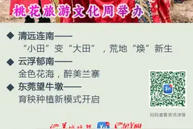 乡村周记｜河源连平举办桃花旅游文化周；东莞望牛墩开启育秧种植新模式图片