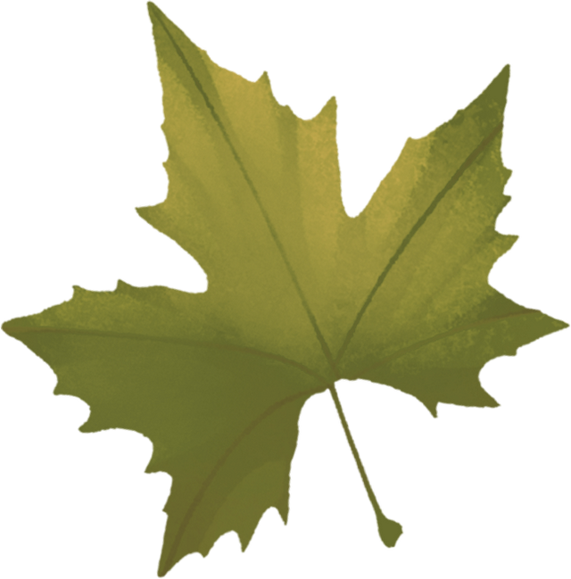 解锁长宁小众建筑里的美学密码