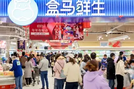 人山人海！盒马东莞首店、年货集市与特卖场等持续火热！图片