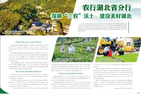 农行湖北省分行：深耕“三农”沃土 建设美好湖北图片