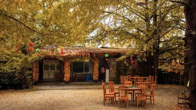 跟着电影去秋游｜这份精选秋日电影旅行地指南，请查收！