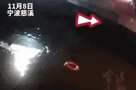 “95后”辅警从桥上一跃而下的样子，太帅了！图片