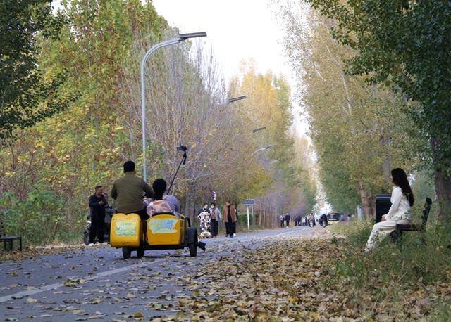 我们的城市叫郑州｜落叶缓扫拉长秋韵保质期