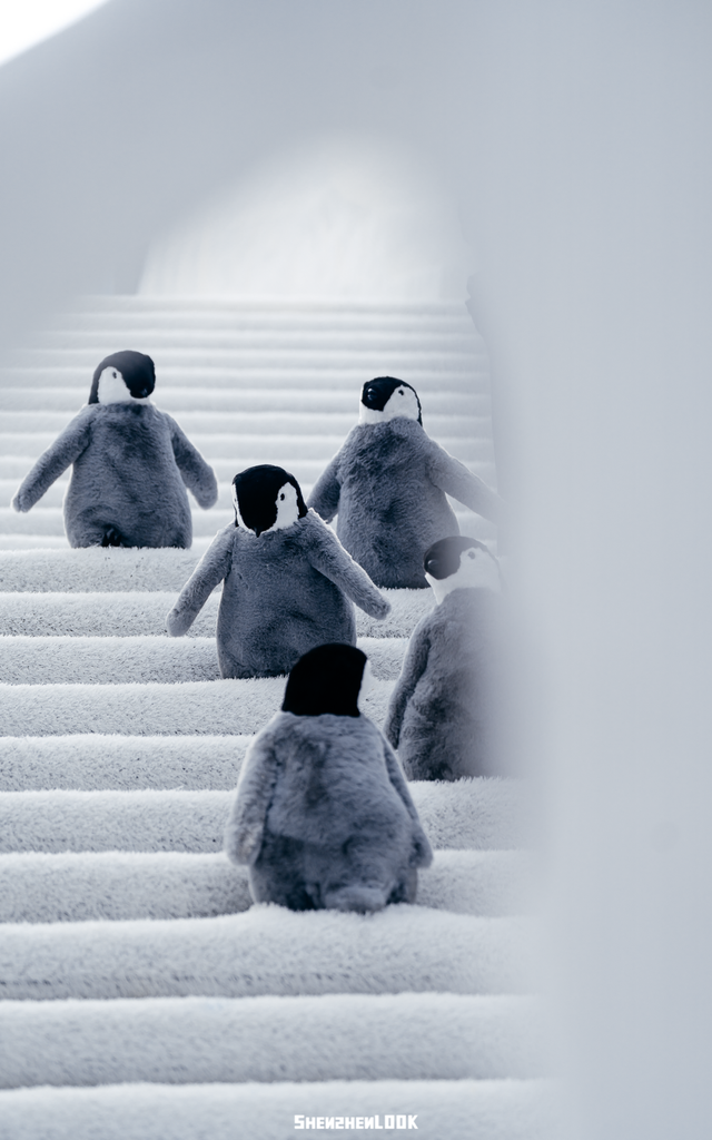 “这可能是深圳最热闹的周末，攻略准备好了”