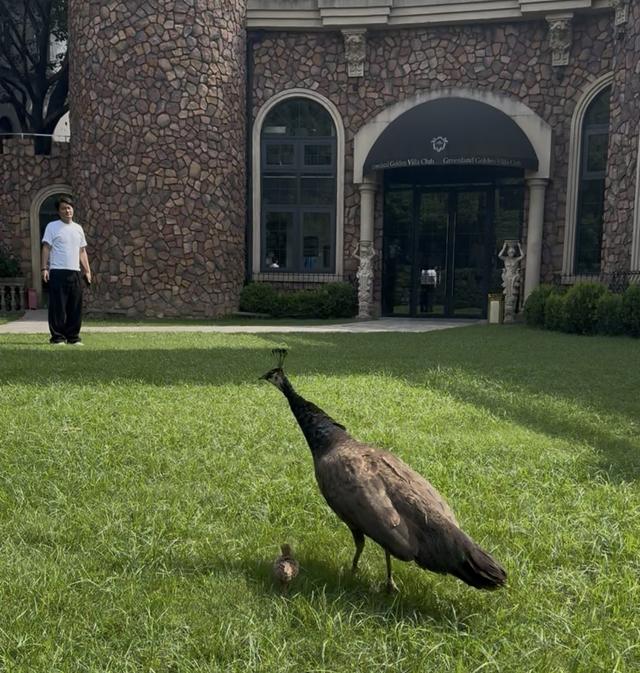 探访沪上银发网红地：这里为何称老人百元一日聚“天花板”