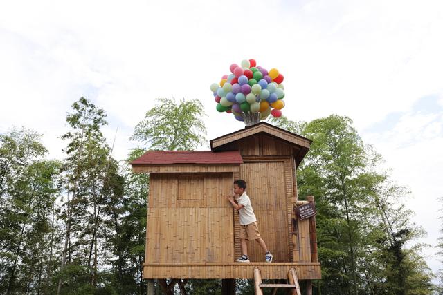 中国的环保行动促进竹文化传承