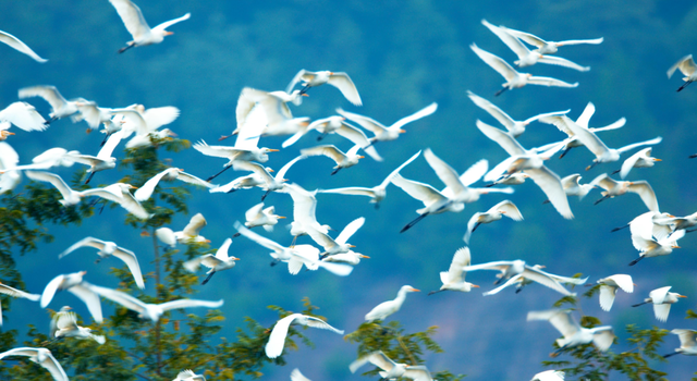 湘超永州丨《出师表·战长沙》