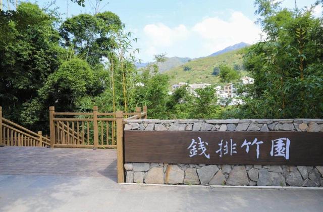 茂名信宜三镇沿云茂高速联动打造40公里绿美长廊