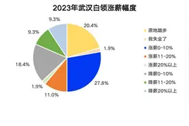 40%武汉白领薪酬上涨，占比高于上一年图片