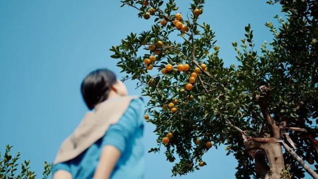 组个“橘” “宜”起“都”来解锁新乐趣→