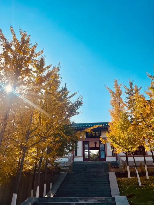 鄂州冬日活力游玩攻略,就该这么玩!