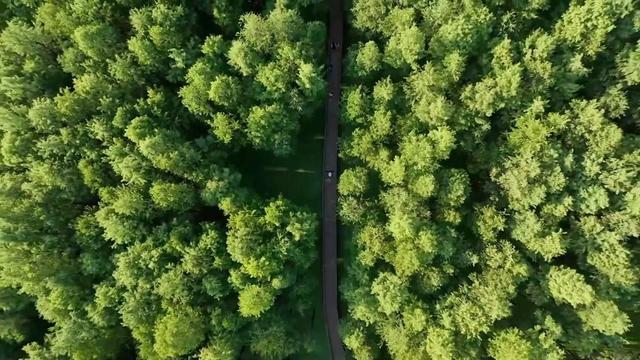 “双节”期间文旅市场百花齐放 多元业态激活消费新活力