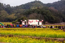 瞰江西！油菜花开引客来图片