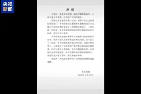 从争议到受罚 记者调查“东北雨姐”事件始末图片