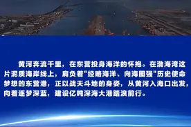 芦花新闻|沿黄达海 逐梦深蓝——东营港扬帆启航逐梦亿吨大港图片