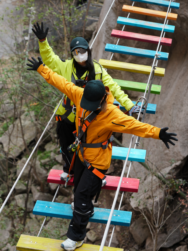 别再问了！洛阳秋色天花板，就藏在这里→