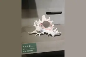 蓬莱极地海洋馆之旅｜我的多彩暑假图片