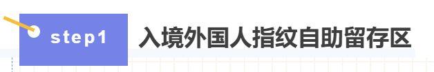进博会期间，浦东空港通关攻略来了！
