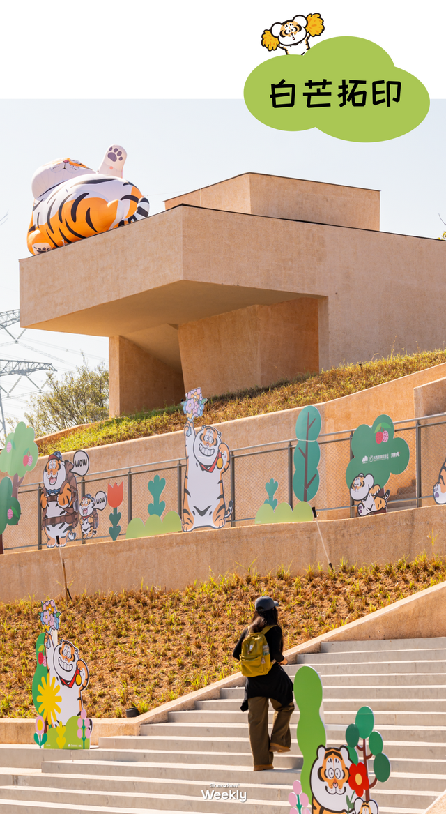 出发！去深圳最特别的「胖虎主题市集」，逛吃一天