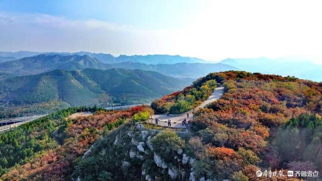 秋日限定！济南蚰蜒山红叶渐染