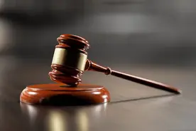同一序列号被多辆新能源汽车“共享”？图片