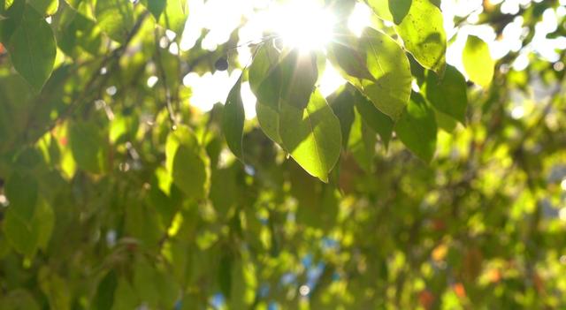 旌德，红黄橙绿白～