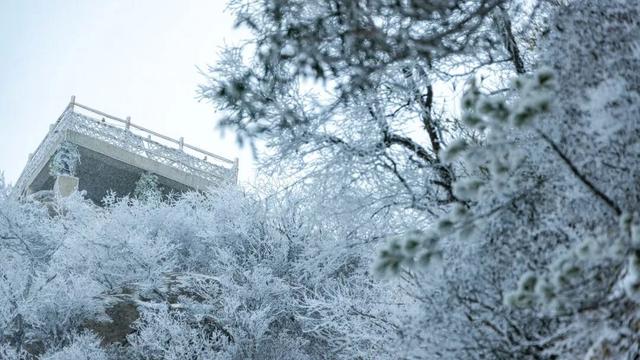 错过等一年！这个冬天，来嵩县“嗨皮”一圈！