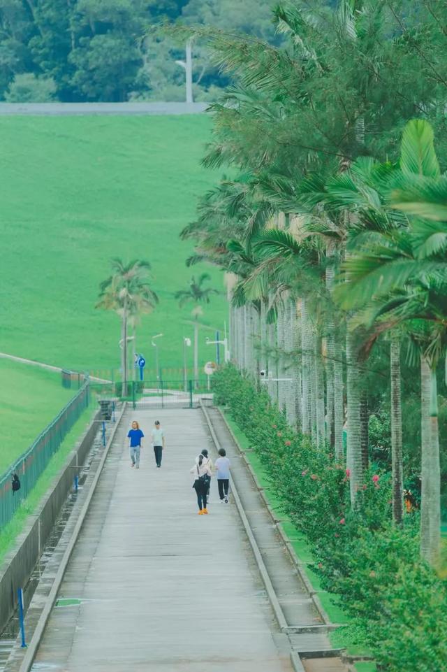 7公里黄金绿道！一天尽揽湖光山色