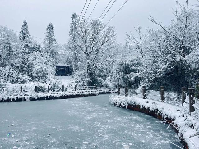 属马、姓马游客免费！2026全国景区免票福利汇总第二波！