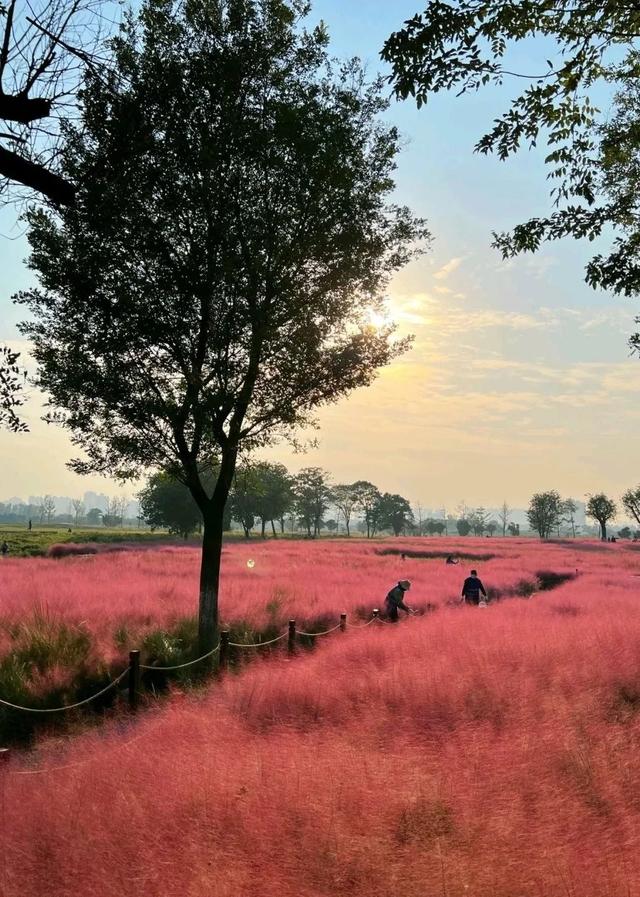 西安上新！高颜值秋景，正在加载！