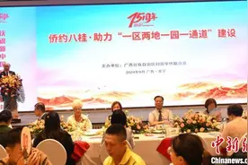 广西举办“侨约八桂—助力‘一区两地一园一通道’建设”活动图片