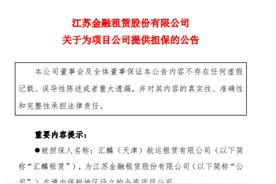 江苏金租为全资项目公司汇麟租赁提供2723.2万美元担保图片