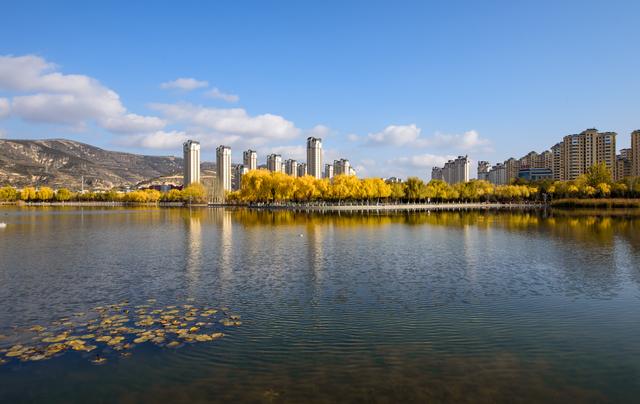 定西湖・初冬：柳黄映水 候鸟翩跹