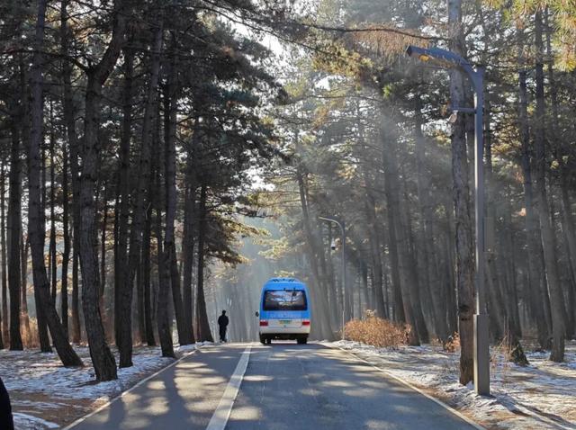 今日立冬|总有一个冬天 要来趟净月潭