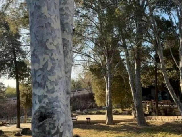 北京号最精彩 | 古刹新生！慈善寺明日重启五大主题区