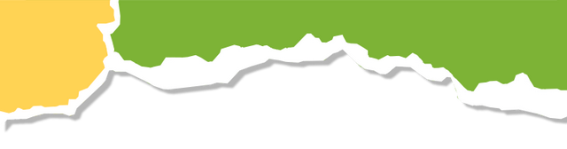 @镇海家长，溜娃好去处！秋假的宝藏路线有……