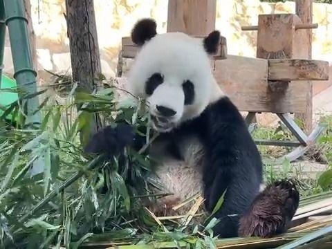 北京号最精彩 | 新鲜出炉！市属公园八月看展全攻略来了