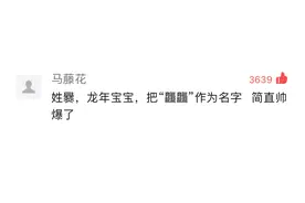 龙年用“龘龘”做名字？不要太帅！图片