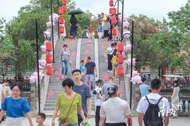 31.57万人次！清明小长假番禺踏青赏花人气旺图片