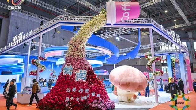 “有一种叫云南的生活”亮相长三角文博会