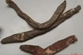 提醒！有人拿了一大袋回去，一家四口吃完后进了ICU图片